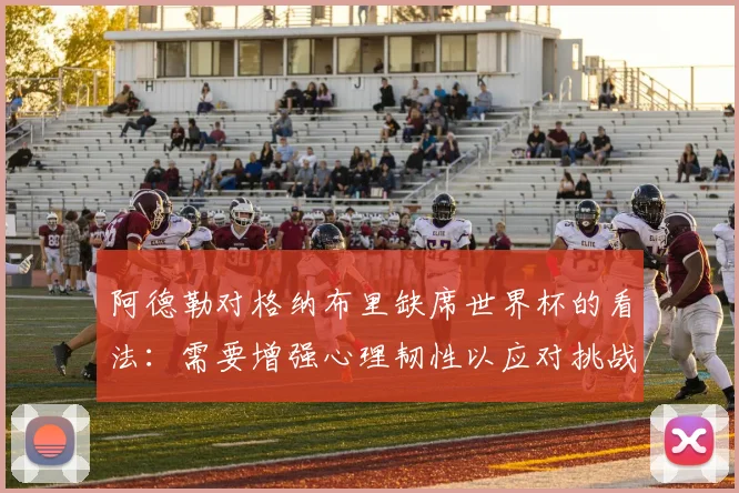 阿德勒对格纳布里缺席世界杯的看法：需要增强心理韧性以应对挑战